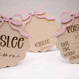 Baby Announcement Sign With Birth Stats